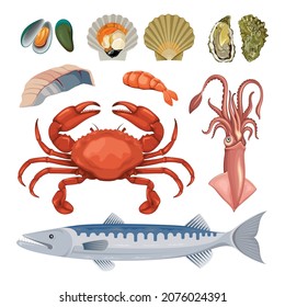 Seafood Vector Set Shell Shrimp Fish Crab Squid Illustration 