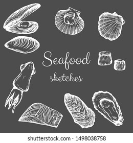 Seafood vector sketch set, hand drawn pencil design elements.
