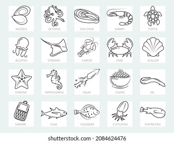 Seafood web icons set - thin line. Simple vector icons included such as tuna, caviar, squid, mussels, octopus, sardines, shrimp and more. Vector Icons - Adjust stroke weight - Expand to any size