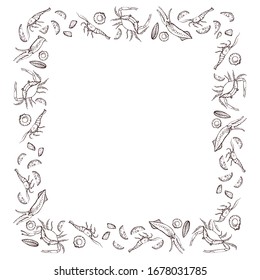Seafood wreath. Hand drawn vector illustration. It can be used to design menus, packaging, recipes, labels, fish market. The concept of eco food, healthy nutrition. Vector, isolated illustration.