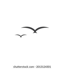 Diseño vectorial de ilustración de aves de gaviota 