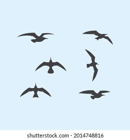 Seagul bird illustration vector design 