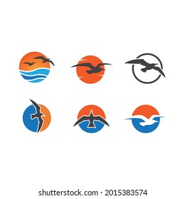 Seagul bird illustration vector design 