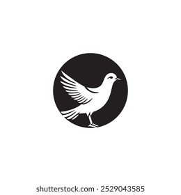 Seagul bird logo icon vector illustration template