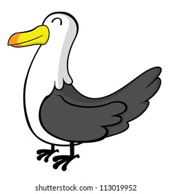 seagull
