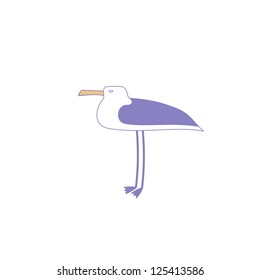 seagull