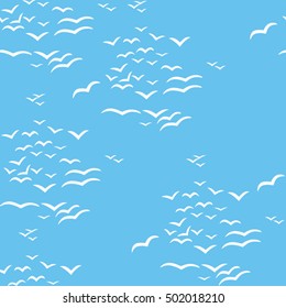 seagull