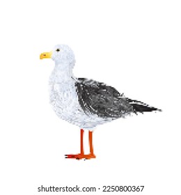 Icono de vector de arte de 8 bits de gaviota sobre blanco