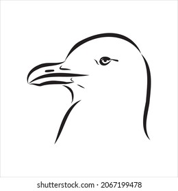 Seagull Albatross bird in flight with open wings sketch vector graphics black and white drawing