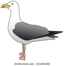 2,037 Cartoon Flying Seagull Images, Stock Photos & Vectors | Shutterstock