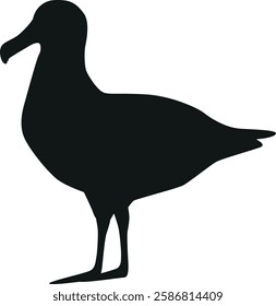 Seagull arctic bird black-and-white vector illustration