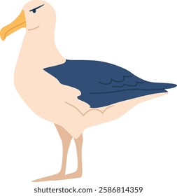 Seagull arctic bird vector illustration