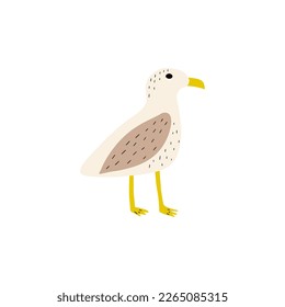 Seagull. Atlantic seabird. Marine Animal Vector illustration on white background.
