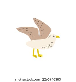 Seagull. Atlantic seabird. Marine Animal Vector illustration on white background.