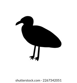 Seagull. Atlantic seabird. Marine Animal Vector illustration on white background.