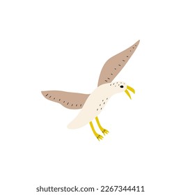 Seagull. Atlantic seabird. Marine Animal Vector illustration on white background.