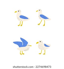 Seagull. Atlantic seabird. Marine Animal Vector illustration on white background.