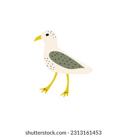 Seagull. Atlantic seabird. Marine Animal Vector illustration on white background.