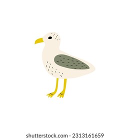 Seagull. Atlantic seabird. Marine Animal Vector illustration on white background.