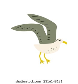 Seagull. Atlantic seabird. Marine Animal Vector illustration on white background.