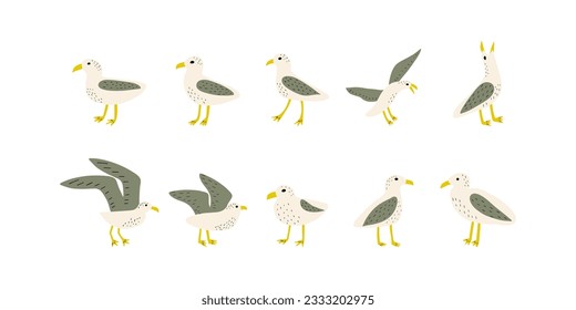 Seagull. Atlantic seabird. Marine Animal Vector illustration on white background.