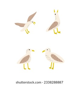 Seagull. Atlantic seabird. Marine Animal Vector illustration on white background.