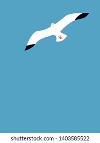 Seagull background on a blue sky