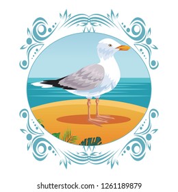 seagull at beach