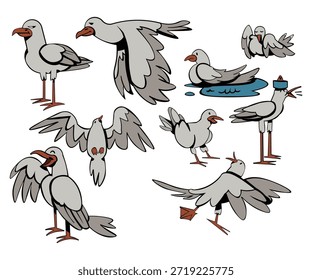 gaivota belo conjunto de ilustração vetorial