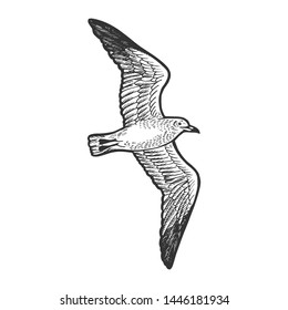 Seagull bird animal sketch engraving vector illustration. Scratch board style imitation. Hand drawn image.