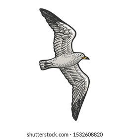Seagull bird animal sketch engraving vector illustration. T-shirt apparel print design. Scratch board style imitation. Hand drawn image.