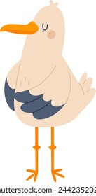 Seagull Bird Animal Vector Illustration