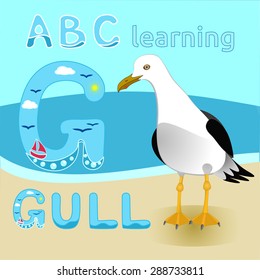 Seagull bird cartoon character Gull vector Short tailed albatross Sea beach fauna Great for kids illustration, t shirt print, animal and wildlife design Kids ABC learning G letter Sea animal alphabet 