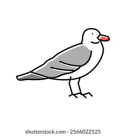 seagull bird color icon vector. seagull bird sign. isolated symbol illustration