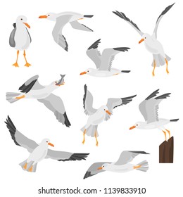 Seagull bird in dufferent motions color flat icons set