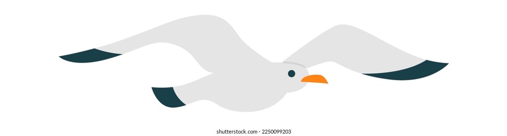 Seagull bird fly flat icon Freedom Open wings. Vector illustration