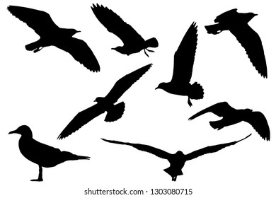 Seagull bird are flying sillhouette vector