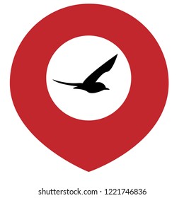 seagull, bird icon and map pin