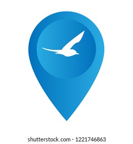 seagull, bird icon and map pin