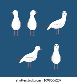 seagull bird illustration 