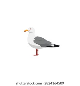 Seagull bird illustration isolated on white background. Flat vector cartoon of a standing sea gull.