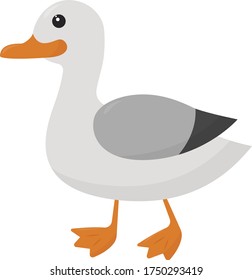 Seagull bird , illustration, vector on white background