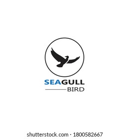 Seagull  Bird logo icon  vector designs template  - Vector