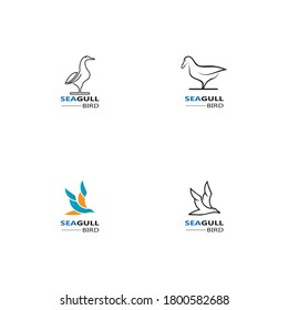 Seagull  Bird logo icon  vector designs template  - Vector