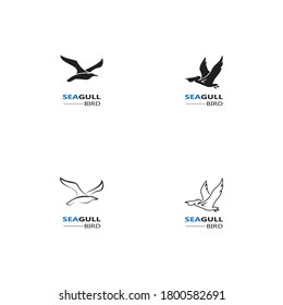 Seagull  Bird logo icon  vector designs template  - Vector