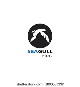 Seagull  Bird logo icon  vector designs template  - Vector
