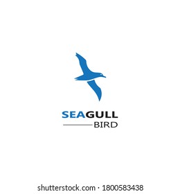 Seagull  Bird logo icon  vector designs template  - Vector