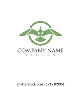 Seagull bird logo vector image template design