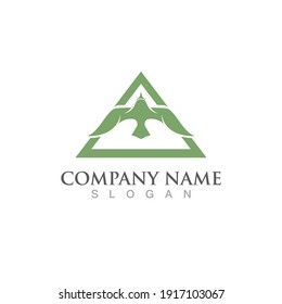 Seagull bird logo vector image template design
