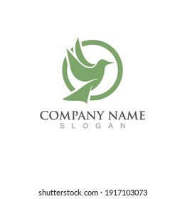 Seagull bird logo vector image template design